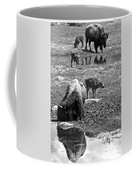 Bison Coffee Mug featuring the photograph Yellowstone Bison Reflections Black And White by Adam Jewell