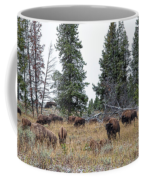 Yelowstone Coffee Mug featuring the photograph Yellowstone Buffalo by Jim Garrison