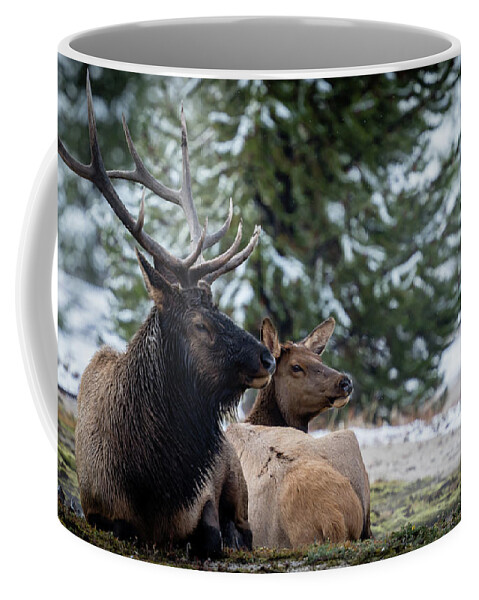 Scenic Coffee Mug featuring the photograph Yellowstone Wild by Gary Migues