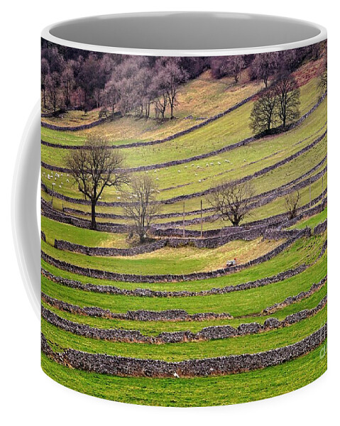 Yorkshire Dales Coffee Mug featuring the photograph Yorkshire Dales Stone Walls by Martyn Arnold