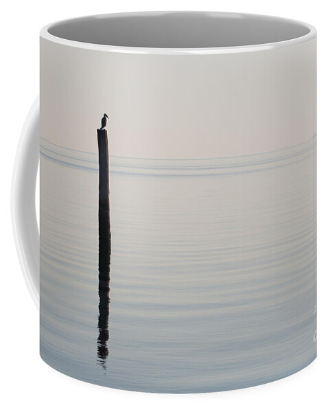 Water Coffee Mug featuring the photograph Yorktown Cormorant at Daybreak by Rachel Morrison