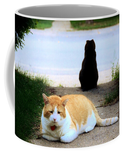 Cats Coffee Mug featuring the photograph You and I by Elaine Berger