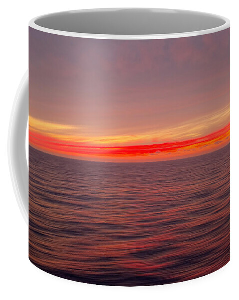 Face Mask Coffee Mug featuring the photograph You Are My Desire by Lucinda Walter
