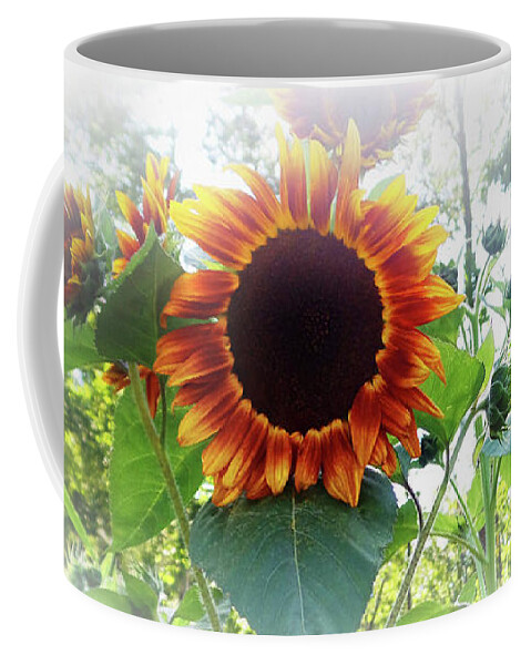 You Are My Sunshine Coffee Mug featuring the photograph You Are My Sunshine by Mike Breau
