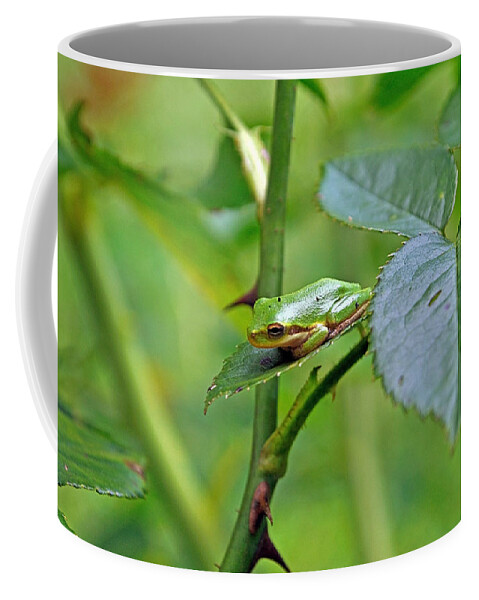 Animal Coffee Mug featuring the photograph You Can Not See Me by Kenneth Albin
