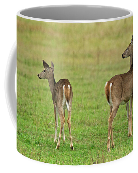 Deer Coffee Mug featuring the photograph You Got Our Attention by Michael Peychich