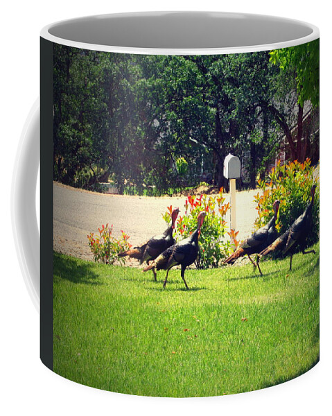 Turkeys Coffee Mug featuring the photograph You Have Male by Joyce Dickens