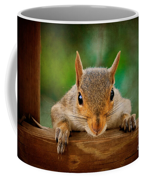 Squirrel Coffee Mug featuring the photograph You Rang by Lois Bryan