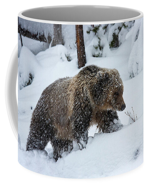 Mark Miller Photos Coffee Mug featuring the photograph Young Grizzly in Blizzard by Mark Miller