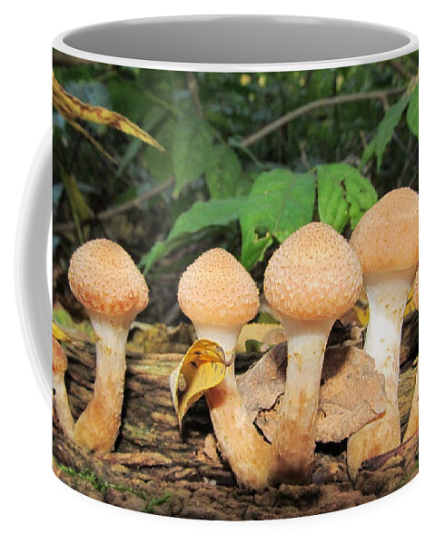 Honey Mushrooms Coffee Mug featuring the photograph Young Honey Mushrooms by Joshua Bales