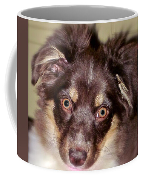 Dog Coffee Mug featuring the photograph Young Lady by Gwyn Newcombe