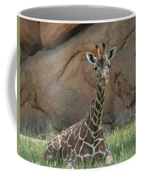 Nashville Zoo Coffee Mug featuring the photograph Young Masai Giraffe by Valerie Collins