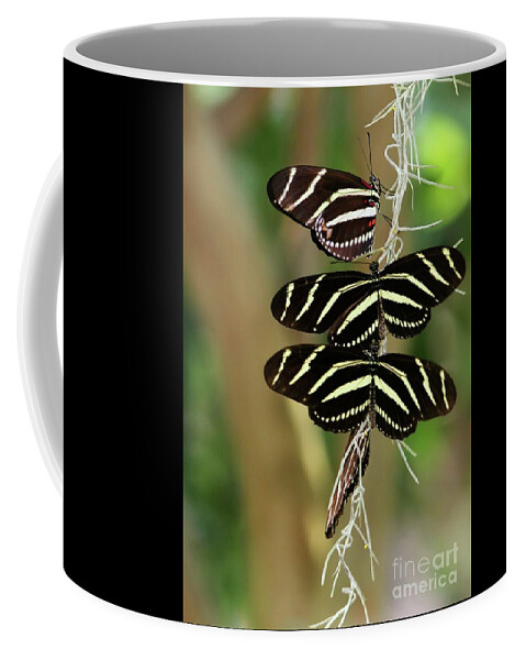 Zebra Coffee Mug featuring the photograph Zebra Butterflies Hanging On by Sabrina L Ryan