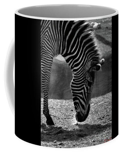 Zebra Coffee Mug featuring the photograph Zebra by September Stone