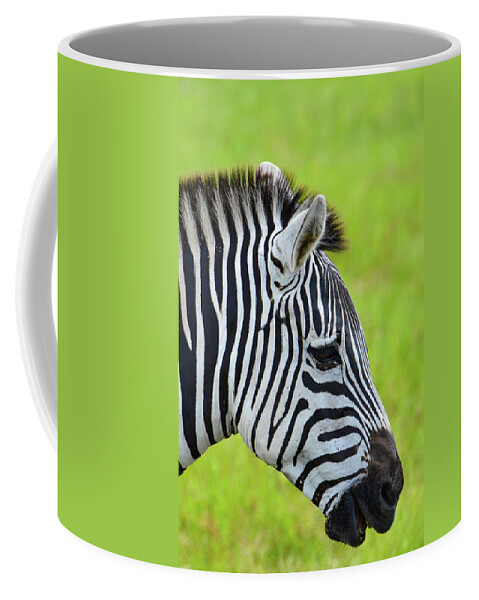 Zebra Coffee Mug featuring the photograph Zebra Head Smiling with Mouth Open by Artful Imagery