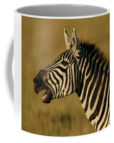 Zebra Coffee Mug featuring the photograph Zebra in Golden Light by Steven Upton