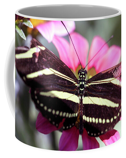 Zebra Longwing Butterfly Coffee Mug featuring the photograph Zebra Longwing Butterfly by John Rizzuto