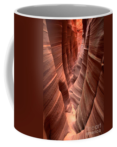 Slot Canyon Coffee Mug featuring the photograph Zebra Slot Canyon by Adam Jewell