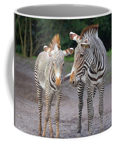 Zebra Coffee Mug featuring the photograph Zebras by Dart Humeston