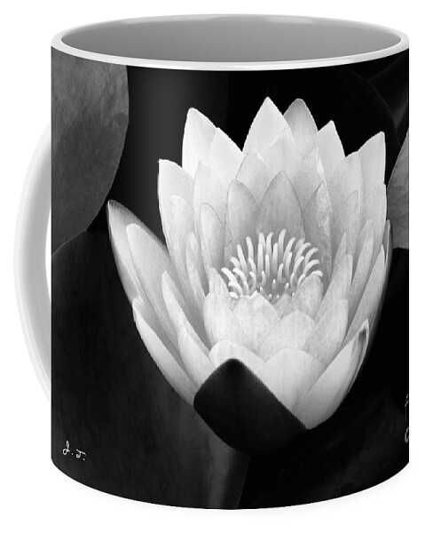 Waterlily Coffee Mug featuring the photograph Rising Zen by John F Tsumas
