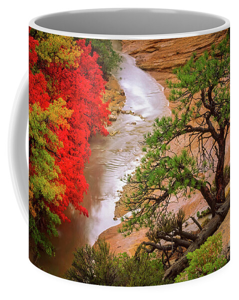 America Coffee Mug featuring the photograph Zion After the Flood by Inge Johnsson