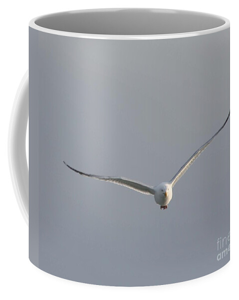 Zooming In Coffee Mug featuring the photograph Zooming In by John Telfer