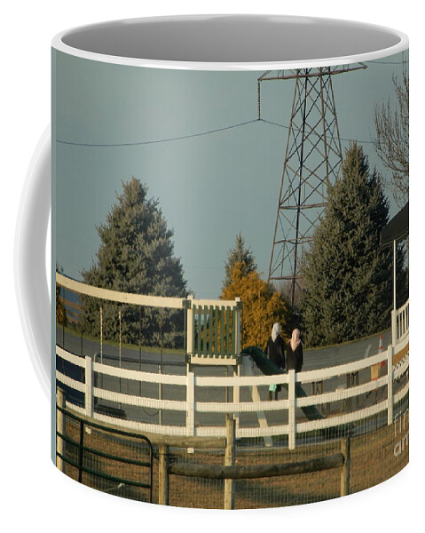 Amish Coffee Mug featuring the photograph An Evening Walk #1 by Christine Clark