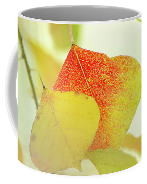 Autumn Leaves Coffee Mug featuring the photograph Autumn Leaves #2 by Bill Morgenstern