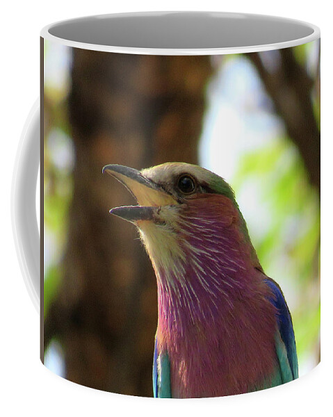 Africa Coffee Mug featuring the photograph Bird #1 by Eric Pengelly