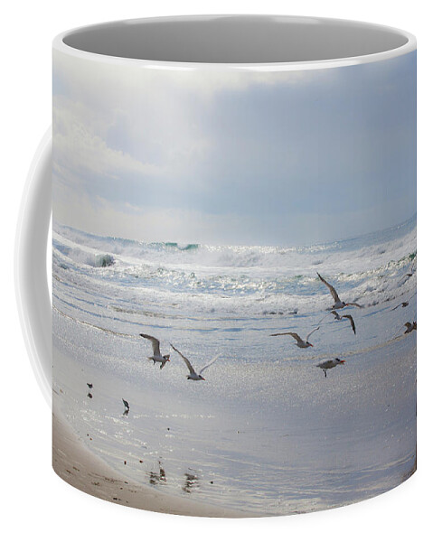  Coffee Mug featuring the photograph Bird Flight at Moonlight Beach #1 by Catherine Walters