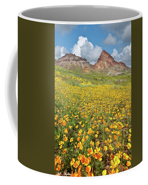 Arid Climate Coffee Mug featuring the photograph Boundary Cone Butte by Jeff Goulden
