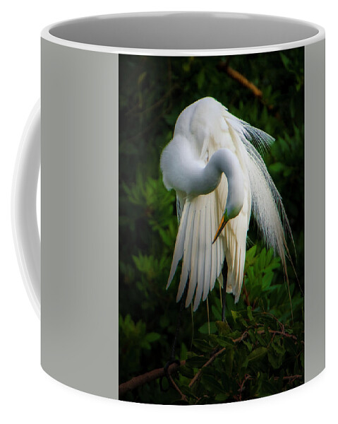 Nature Coffee Mug featuring the photograph Breeding Plumage and Color #1 by Donald Brown