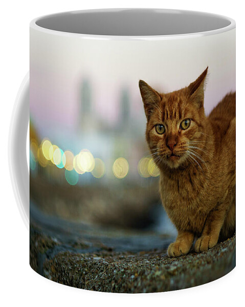 Vacation Coffee Mug featuring the photograph Brown Cat and Cathedral by the Sea Cadiz Spain #1 by Pablo Avanzini