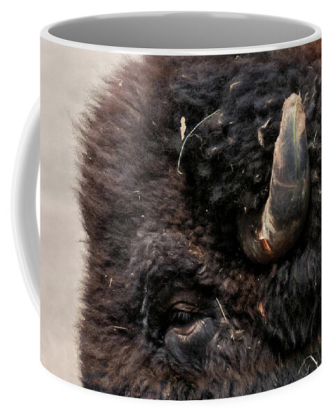 American Bison Coffee Mug featuring the photograph Buffalo Head #1 by Pamela Steege