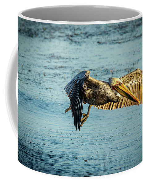 California Brown Pelicans Coffee Mug featuring the photograph California Brown Pelican #1 by Donald Pash
