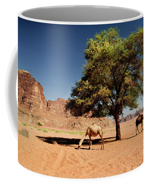 Camel Coffee Mug featuring the photograph Camels in Wadi Rum #1 by Jelena Jovanovic