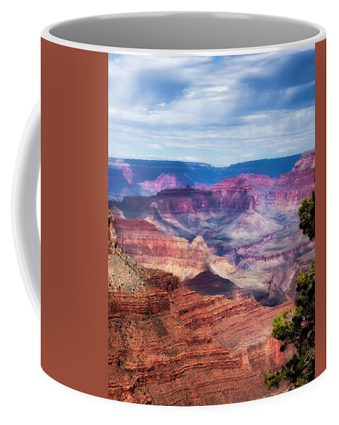 Landscape Coffee Mug featuring the photograph Colors of the Canyon #1 by Ron McGinnis