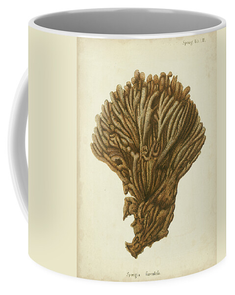 Coastal Coffee Mug featuring the painting Coral Collection Vi by Johann Esper