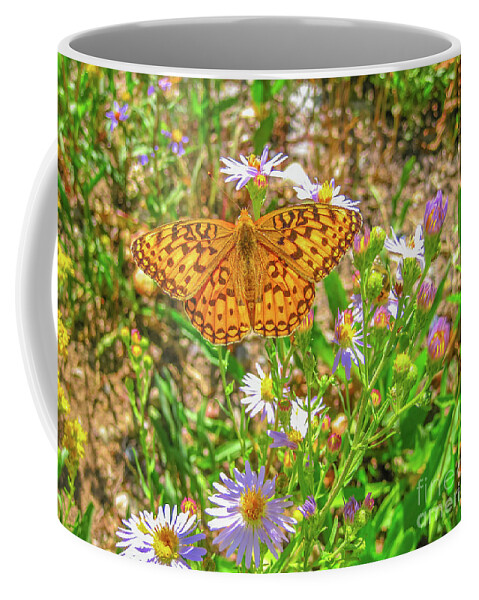 Butterfly Coffee Mug featuring the photograph Coronis fritillary butterfly #1 by Benny Marty