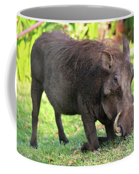  Coffee Mug featuring the photograph 1 by Eric Pengelly