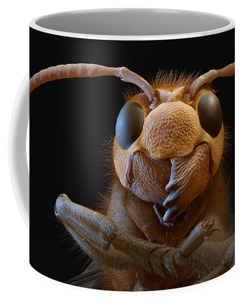 Animal Coffee Mug featuring the photograph European Hornet, Sem #1 by Meckes/ottawa