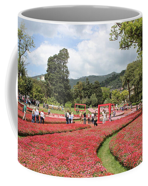 27 Coffee Mug featuring the photograph Flowers #1 by Yohana Negusse