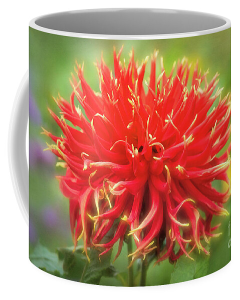 Dahlia Coffee Mug featuring the photograph Glorious Sho-N-Tell Dahlia by Anita Pollak