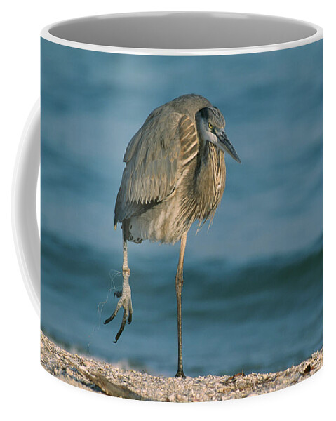 Animal Coffee Mug featuring the photograph Great Blue Heron Ardea Herodias #1 by Nhpa