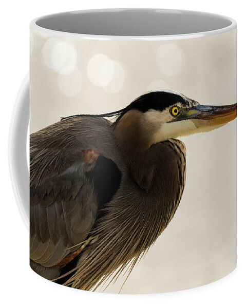 Great Blue Heron Coffee Mug featuring the photograph Great Blue Heron Portrait #1 by Sam Rino