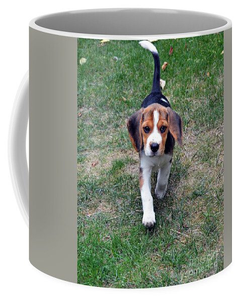 Beagle Puppy Coffee Mug featuring the photograph Hermine The Beagle by Thomas Schroeder