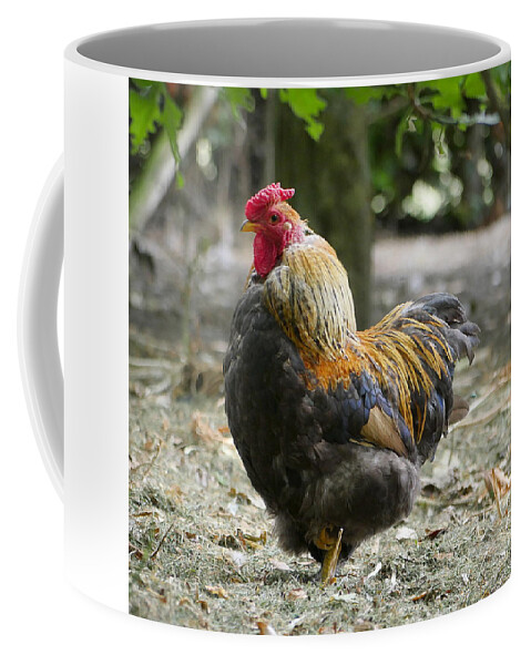 Richard Reeve Coffee Mug featuring the photograph Just waiting #1 by Richard Reeve