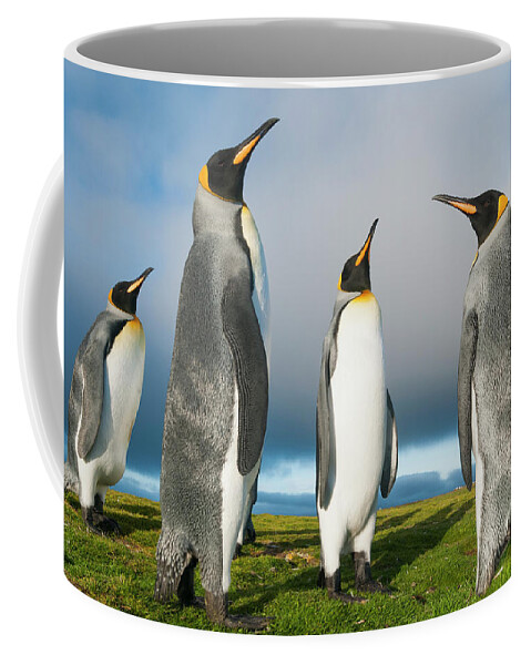 Animal Coffee Mug featuring the photograph King Penguins At Volunteer Beach #1 by Tui De Roy