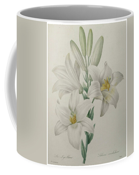 Redoute Coffee Mug featuring the painting Lilly #1 by Pierre-Joseph Redoute