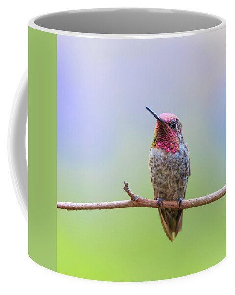Animal Coffee Mug featuring the photograph Midsummer Night's Dream III - Male Anna's Hummingbird by Briand Sanderson